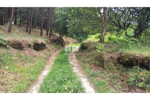 Terra a Areosa, Viana do Castelo, Areosa - € 59.000 | Ref: VCM14429 - foto 25