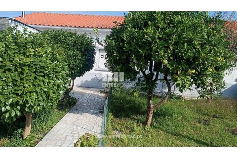 Villa i Viana do Castelo, Viana do Castelo, Viana do Castelo - € 371.000 | Ref: VCC14624(1) - foto 2