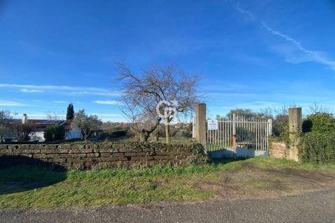 Terra a Viterbo, Viterbo, Viterbo - € 45.000 | Ref: CBI006-960-333048 - foto 2