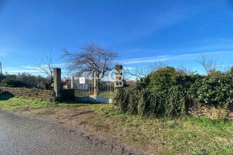 Terra a Viterbo, Viterbo, Viterbo - € 45.000 | Ref: CBI006-960-333048 - foto 4