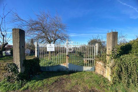 Terra a Viterbo, Viterbo, Viterbo - € 45.000 | Ref: CBI006-960-333048 - foto 5