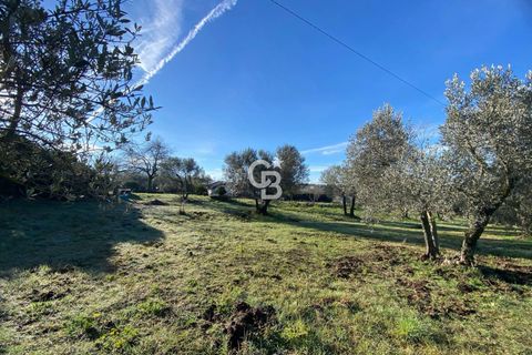 Terra a Viterbo, Viterbo, Viterbo - € 45.000 | Ref: CBI006-960-333048 - foto 3