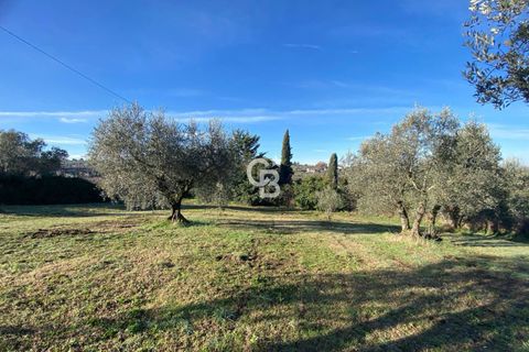 Terra a Viterbo, Viterbo, Viterbo - € 45.000 | Ref: CBI006-960-333048 - foto 6