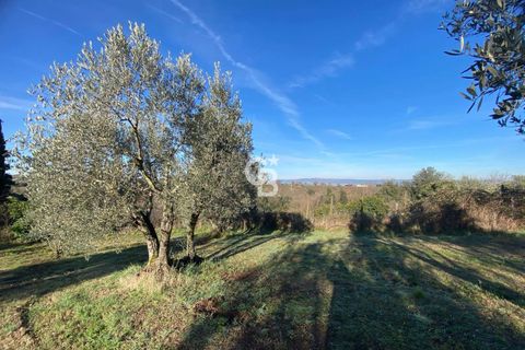 Terra a Viterbo, Viterbo, Viterbo - € 45.000 | Ref: CBI006-960-333048 - foto 7