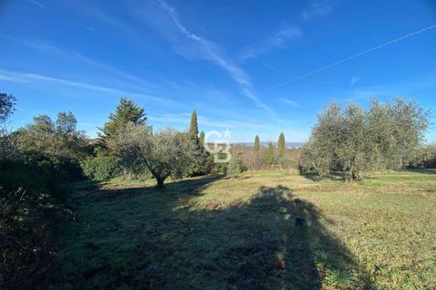 Terra a Viterbo, Viterbo, Viterbo - € 45.000 | Ref: CBI006-960-333048 - foto 9