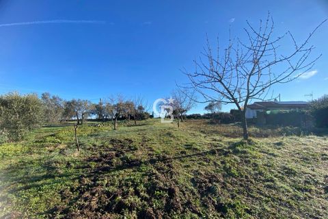 Terra a Viterbo, Viterbo, Viterbo - € 45.000 | Ref: CBI006-960-333048 - foto 10