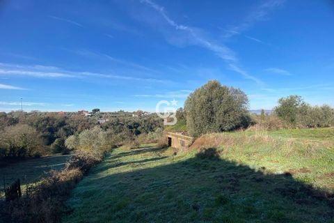 Terra a Viterbo, Viterbo, Viterbo - € 45.000 | Ref: CBI006-960-333048 - foto 11