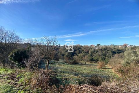Terra a Viterbo, Viterbo, Viterbo - € 45.000 | Ref: CBI006-960-333048 - foto 14