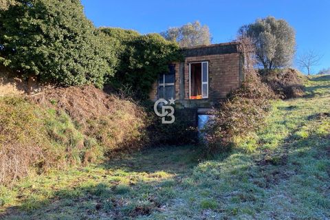 Terra a Viterbo, Viterbo, Viterbo - € 45.000 | Ref: CBI006-960-333048 - foto 16