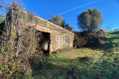 Terra a Viterbo, Viterbo, Viterbo - € 45.000 | Ref: CBI006-960-333048 - foto 17