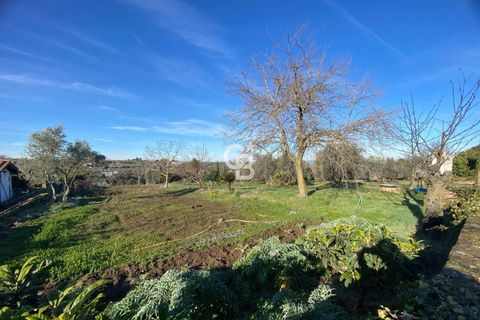 Terra a Viterbo, Viterbo, Viterbo - € 45.000 | Ref: CBI006-960-333048 - foto 18