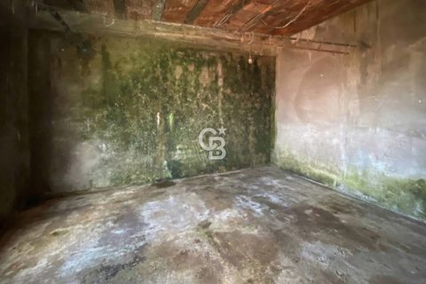 Terra a Viterbo, Viterbo, Viterbo - € 45.000 | Ref: CBI006-960-333048 - foto 19