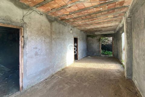 Terra a Viterbo, Viterbo, Viterbo - € 45.000 | Ref: CBI006-960-333048 - foto 20