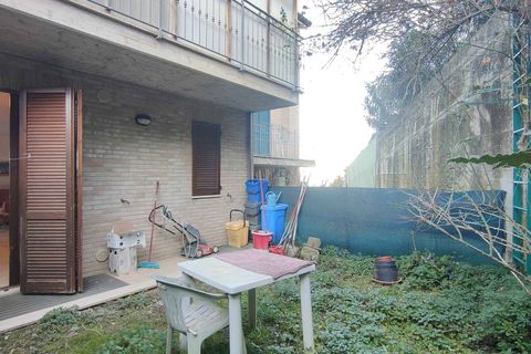 Rækkehus i Acquaviva Picena, Ascoli Piceno, Acquaviva Picena - € 300.000 | Ref: CV9494 - foto 36