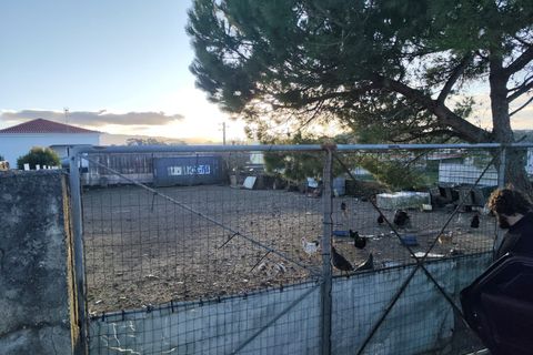 Helårsgrund i Sintra, Lisbon, Sintra - € 161.500 | Ref: T-30257 - foto 4