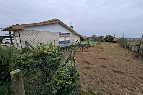 Villa i Branca, Aveiro, Branca - € 310.000 | Ref: 150 - foto 27