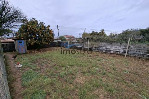 Villa i Branca, Aveiro, Branca - € 310.000 | Ref: 150 - foto 28