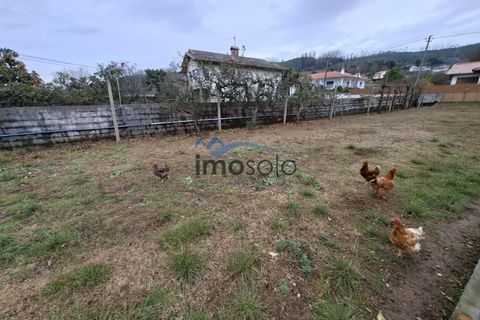Villa i Branca, Aveiro, Branca - € 310.000 | Ref: 150 - foto 29