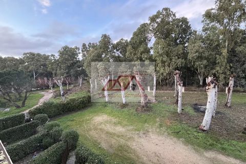 Lejlighed i Calvi, Haute-Corse, Calvi - € 151.200 | Ref: 86741509 - foto 5
