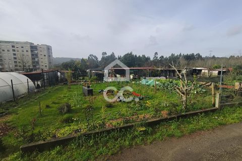 Helårsgrund i Valongo, Porto, Valongo - € 980.000 | Ref: 335/T/02170 - foto 7