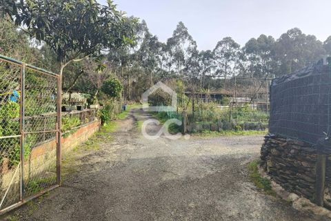Helårsgrund i Valongo, Porto, Valongo - € 980.000 | Ref: 335/T/02170 - foto 12
