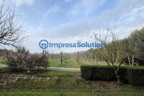 Villa a Benevento, Benevento, Benevento - € 520.000 | Ref: toledo - foto 4