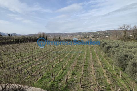 Villa a Benevento, Benevento, Benevento - € 520.000 | Ref: toledo - foto 15
