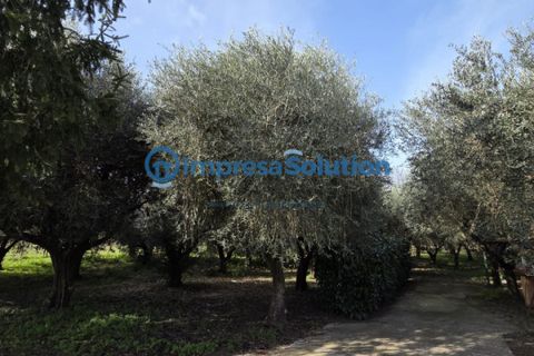Villa a Benevento, Benevento, Benevento - € 520.000 | Ref: toledo - foto 21