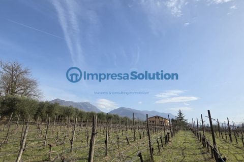 Villa a Benevento, Benevento, Benevento - € 520.000 | Ref: toledo - foto 24