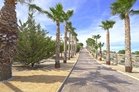 Villa i Novelda, Alicante, Novelda - € 695.000 | Ref: CLDJ-44059 - foto 4
