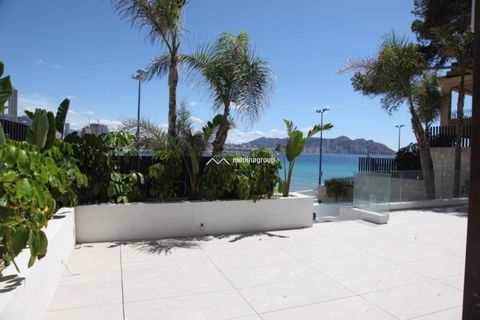 Appartement in Benidorm, Alicante, Benidorm - € 1.650.000 | Ref: MNN34524 - foto 6