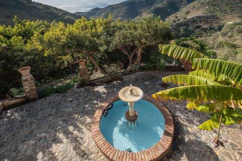 Villa i Sayalonga, Malaga, Sayalonga - € 690.000 | Ref: 2c69e8b7-34e5-4be6-b - foto 6