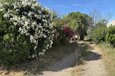Villa i Oupia, Herault, Oupia - € 250.000 | Ref: BVI84400 - foto 11