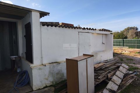 Villa i Lagos, Faro, Lagos - € 375.000 | Ref: M0305 - foto 4
