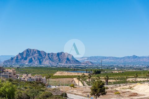 Villa a Algorfa, Alicante, Algorfa - € 710.000 | Ref: N-240/F2.03 - foto 8