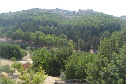 Landejendom i Modica, Ragusa, Modica - € 300.000 | Ref: L 2183 - foto 20