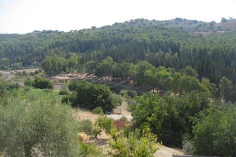 Landejendom i Modica, Ragusa, Modica - € 300.000 | Ref: L 2183 - foto 21