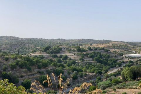 Landejendom i Modica, Ragusa, Modica - € 300.000 | Ref: L 2183 - foto 41