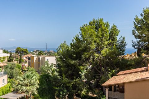 Villa a Genova, Mallorca, Genova - € 2.700.000 | Ref: FALC-Nep-61296 - foto 24