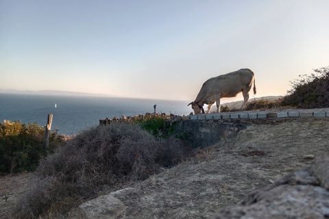 Helårsgrund i Tarifa, Cadiz, Tarifa - € 715.000 | Ref: 428-05250P - foto 2