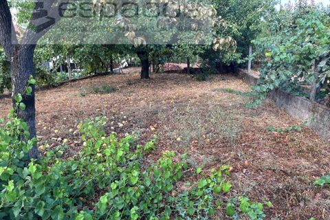 Villa i Fundao, Castelo Branco, Fundao - € 180.000 | Ref: 5683/AG - foto 31