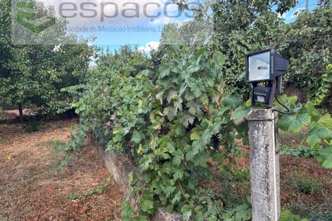 Villa i Fundao, Castelo Branco, Fundao - € 180.000 | Ref: 5683/AG - foto 34