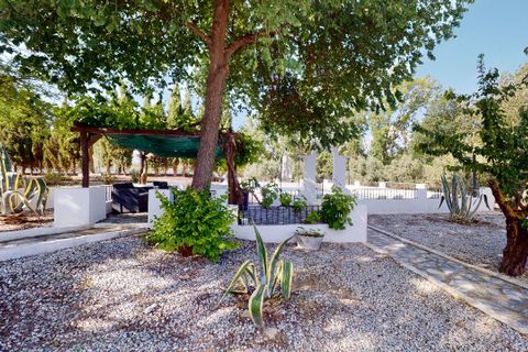 Erhvervsejendom i Caniles, Granada, Caniles - € 1.250.000 | Ref: es5554233aa - foto 5