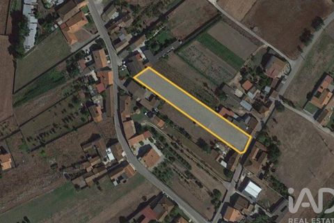 Helårsgrund i Leiria, Leiria, Leiria - € 39.800 | Ref: 88508 - foto 8