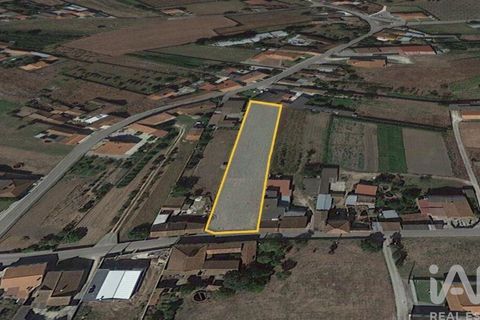 Helårsgrund i Leiria, Leiria, Leiria - € 39.800 | Ref: 88508 - foto 10