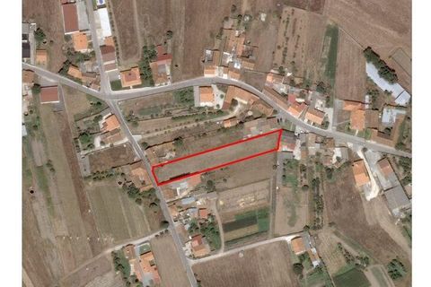 Helårsgrund i Leiria, Leiria, Leiria - € 39.800 | Ref: 88508 - foto 5