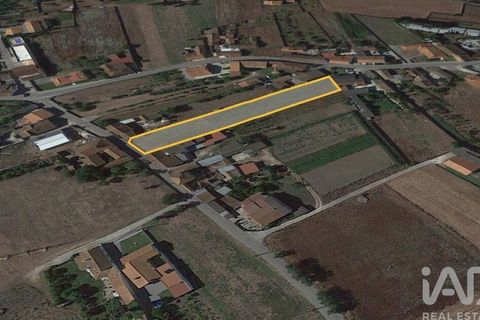 Helårsgrund i Leiria, Leiria, Leiria - € 39.800 | Ref: 88508 - foto 11