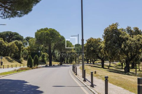 Terra a Boadilla Del Monte, Madrid, Boadilla Del Monte - € 1.450.000 | Ref: POZ57693 - foto 8
