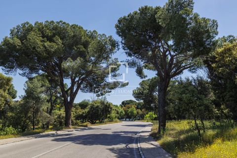 Terra a Boadilla Del Monte, Madrid, Boadilla Del Monte - € 1.450.000 | Ref: POZ57693 - foto 9