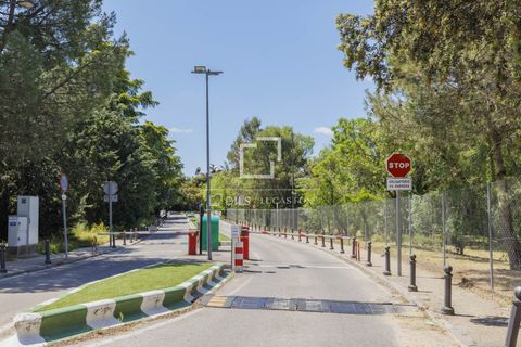 Terra a Boadilla Del Monte, Madrid, Boadilla Del Monte - € 1.450.000 | Ref: POZ57693 - foto 10